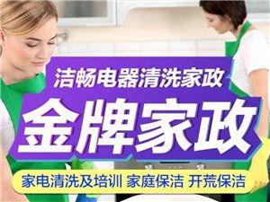 兴国县金牌家政 专业服务，品质生活的可靠之选