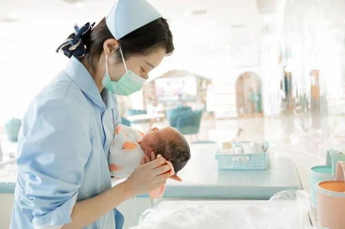 放心家政，专业高品质 九喜月子中心以实力赢得信赖